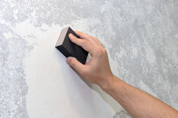 Best Emergency Mold Remediation  in Little Falls, NY