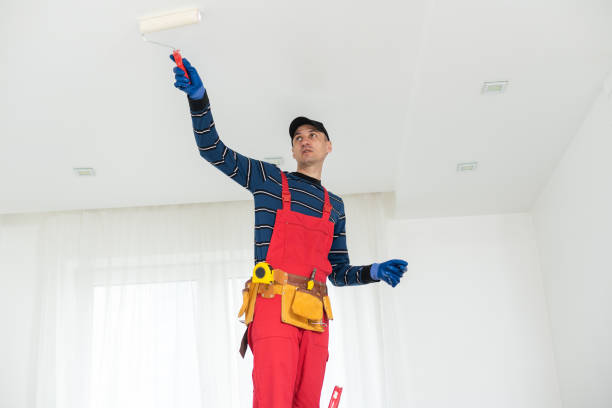 Best Asbestos and Lead Testing During Mold Inspection  in Little Falls, NY
